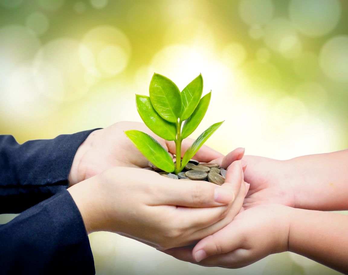 young hands holding a young plant